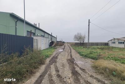 Teren de 4469 mp, în Topraisar - 1