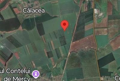 Teren agricol extravilan de 4 mp, în Orțișoara - 2