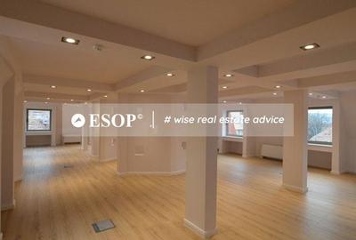 Spațiu comercial, de 637 mp, în Dorobanți - 8