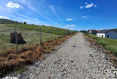 Teren de 700 mp, în Baciu - 3