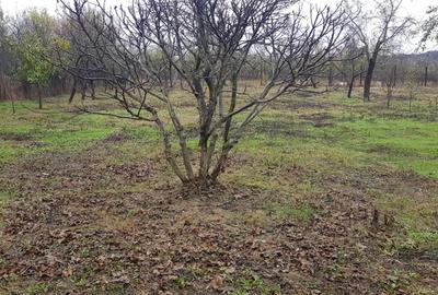 Casă cu 5 camere în Lunca - 3