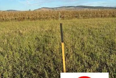 De vanzare teren intravilan in Sancrai - 1