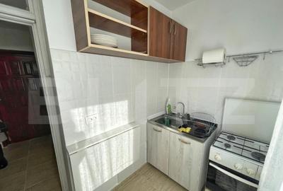 Garsoniera 35 mp, pet friendly, Etaj 2/4 Brazda lui Novac - 4