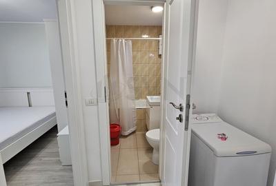 REA1022378 Apartament 3 camere de inchiriat in zona Victoriei - 16