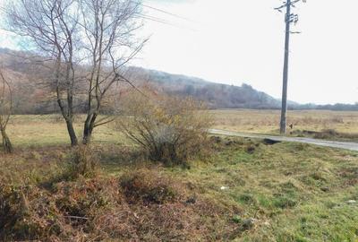 Teren intravilan cu PUZ + autorizație în curs, Râșnov – Strada Predeal - 8