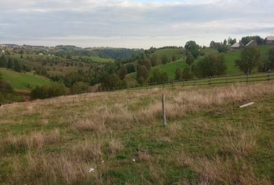 Spațiu comercial, în Măguri - 7