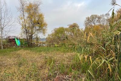 Domeniu excelent cu iesire si vedere in centrul Lacului Snagov - 4