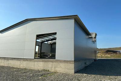 Hala Depozitare Productie P+E Centura Drobeta Turnu Severin - 2