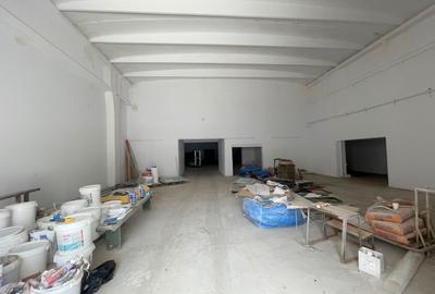 Hale industriale de inchiriat in zona Aradului - 4