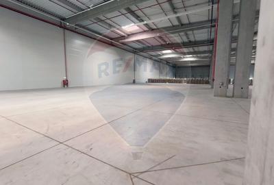 Spațiu industrial, de 1,800 mp, în Exterior Vest - 3