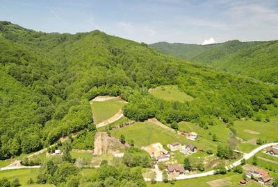 Teren extravilan Via Transilvanica - 4