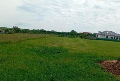 Teren zona Alunis - 1345 mp - 2