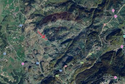 Teren agricol extravilan de 1924 mp, în Șirnea - 9