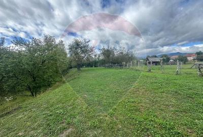 O oportunitate unica in inima naturii -- 6.605 mp in Candesti - 6