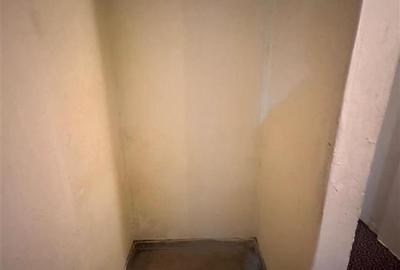 Apartament 4 camere Nicolina Tudor Neculai - 5