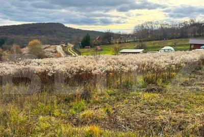 Teren extravilan de vanzare, 2400 mp, zona Valea Ghinzii - 3