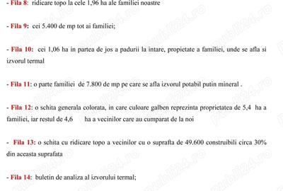 Spațiu comercial, în Căciulata - 10