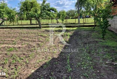 Casă cu 4 camere în Băile 1 Mai - 20