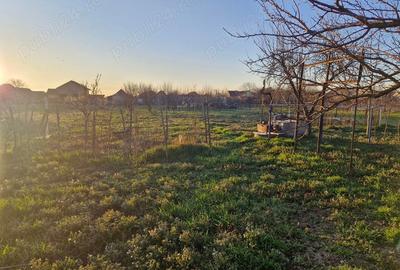 Casă cu 3 camere în Pâncota - 3