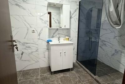 Apartament cu 2 camere decomandat în Cățelu - 7