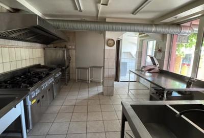 Vila P+1, Zona Traian - 4