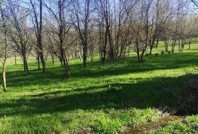 Teren de 1506 mp, în Drajna - 3