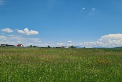 TEREN INTRAVILAN  BOD - 1200 mp pentru constructii case Sp+P+E+M - 7