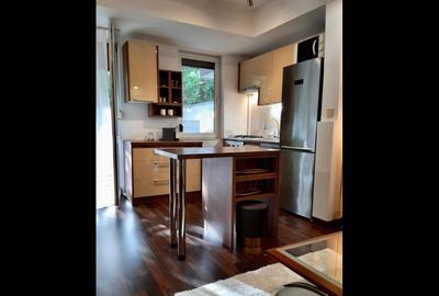 Apartament 2 camere cu gradina 43mp in Herastrau - 4