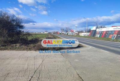 Teren de 14700 mp, în Ulmi - 2