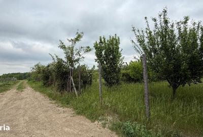 Teren de 1212 mp, în Miroslava - 6