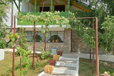 Casă cu 5 camere cu Teren 1543 Mp în Filipeștii de Pădure - 16