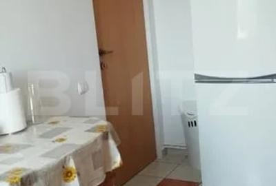 Apartament cu 1 camera, 40mp, parcare zona Marasti - 5