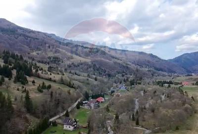 Teren Construcții intravilan de 3880 mp, în Rucăr - 3