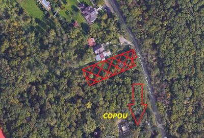 Copou - Teren intravilan 1853 mp PUZ in lucru 3 locuinte - 1