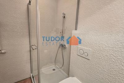 Apartament cu 4 camere, mobilat în Șoseaua Nordului - 18