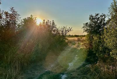 Teren 6700 mp Olteni, jud. Dambovita – la doar 900 m de Autostrada A1 (km 63) - 1