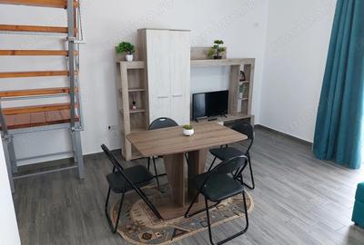 Apartament de inchiriat zona Techirghiol - Iesire spre Eforie Nord - 2