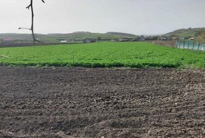 Casă cu 2 camere în Iclod - 1