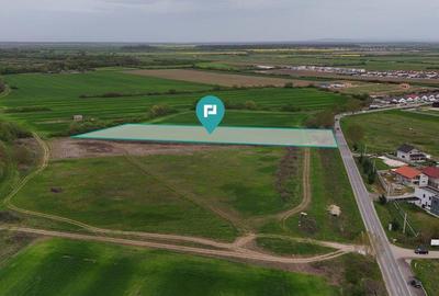 Teren intravilan 5800 mp in Remetea Mare - 6