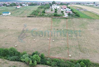 Gaminvest Teren intravilan de vanzare, Cihei, Bihor, V4237 - 2