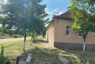 Casă cu 3 camere cu Teren 2877 Mp în Dolaț - 4