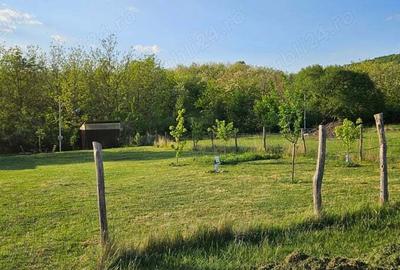 Teren de 400 mp, în Șiria - 1