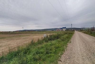 Teren Osorhei, Str. 610 - 4