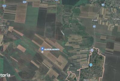 Spațiu comercial, în Fântânele