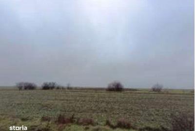 Spațiu comercial, în Siminoc - 8