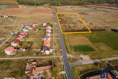 Spațiu comercial, în Pișchia - 5