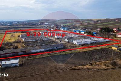 Teren de 39600 mp, în Traian - 11