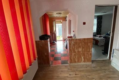 Casă cu 3 camere cu Teren 10000 Mp în Central - 7
