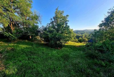 Teren de 3250 mp, în Păușești - 3