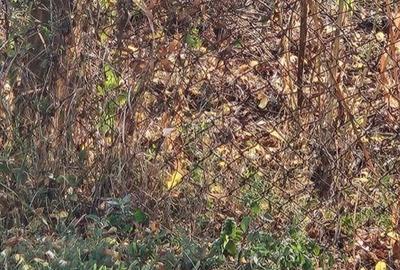 Spațiu comercial, în Covaci - 2